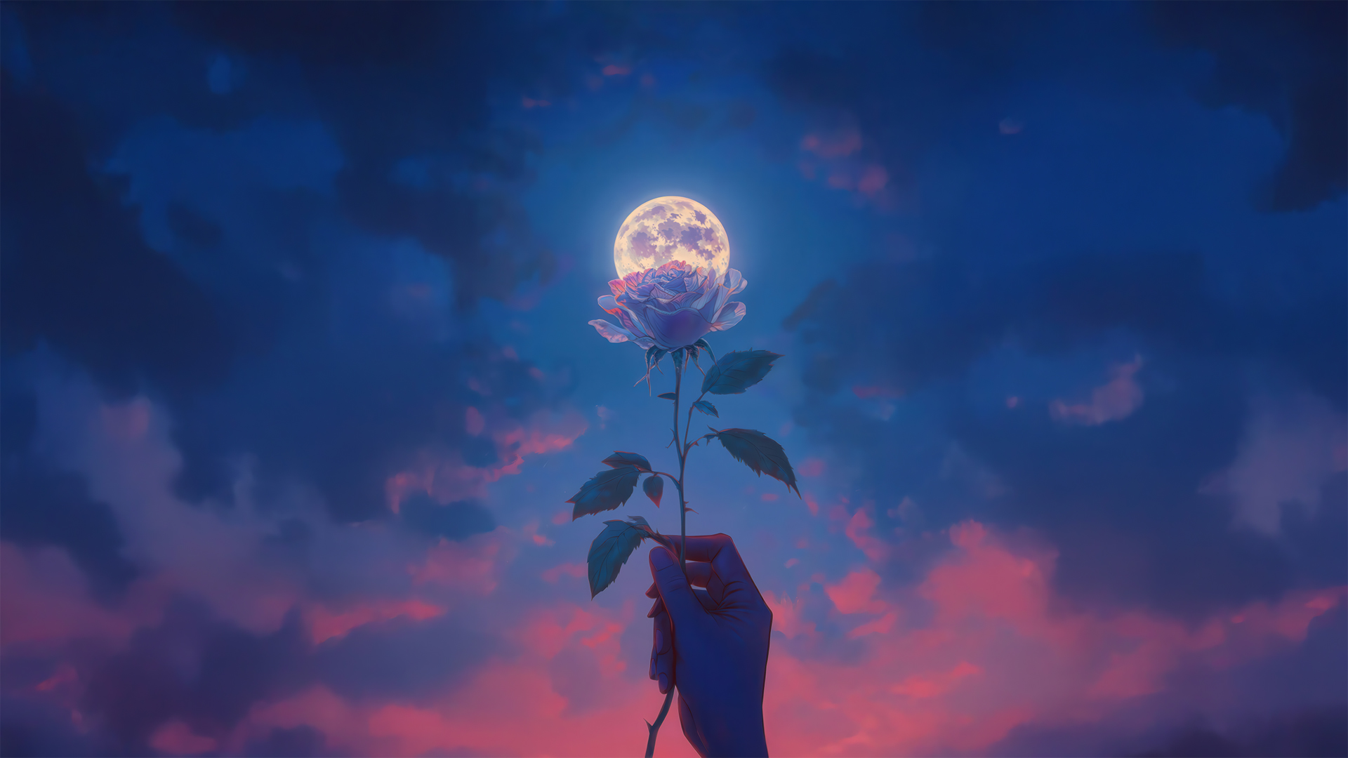 Banner image of the blog