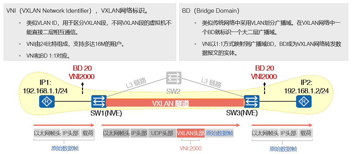 image-20260129144655807